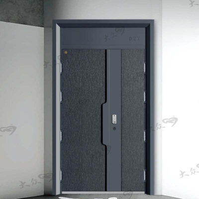 DZX-2005